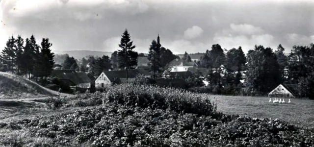 Archivní fotografie