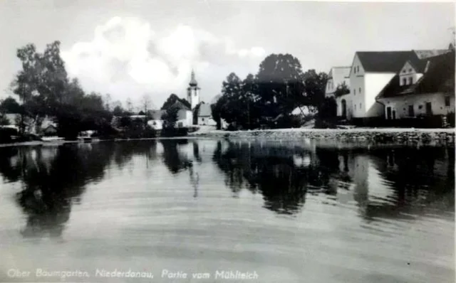 Archivní fotografie